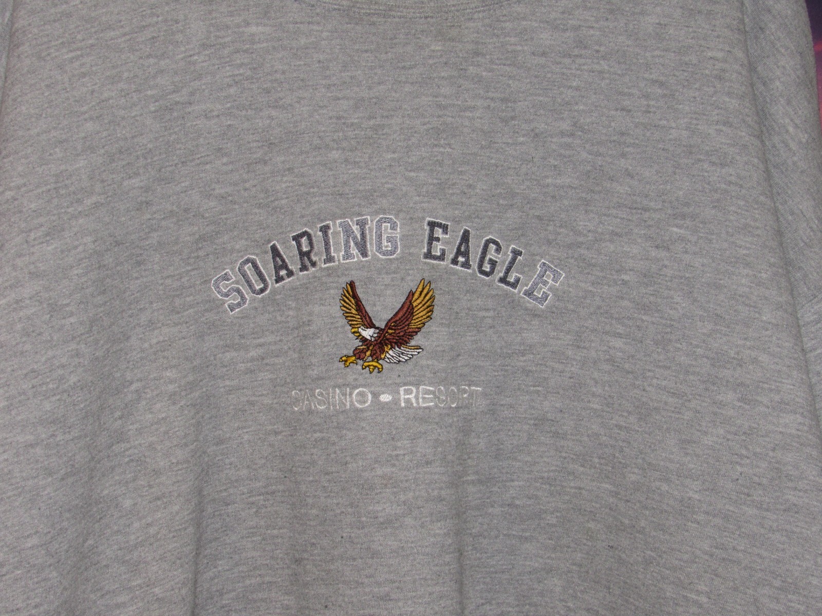Y2K Soaring Eagle Casino Resort Embroidered Sweatshir… Gem