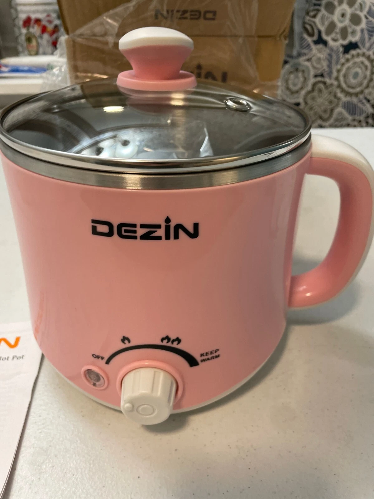 Dezin Electric Hot Pot, Rapid Noodles Cooker, Stainless Steel Mini Pot 1.6
