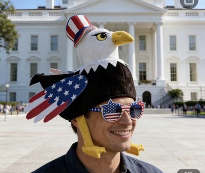 USA Fourth Of July America Patriotic Eagle America Funny Hat Costume new