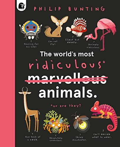 The World's Most Ridiculous Animals (2) by Philip Bunting | Hardcover | 2022 - Image 11