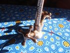 Foto 3 di 8