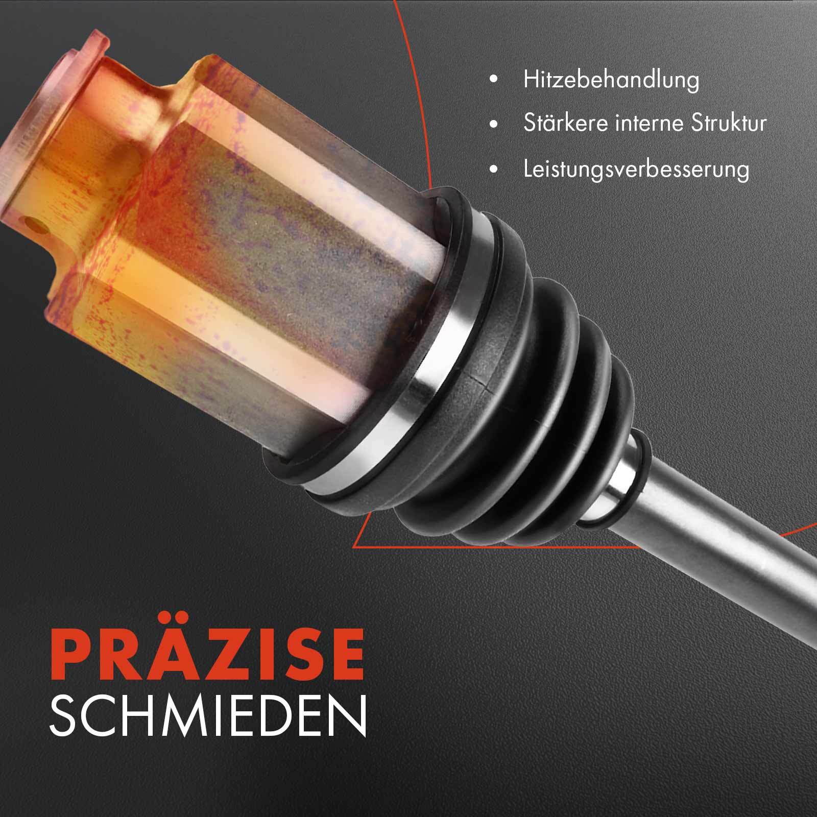 Bild 5 von 8