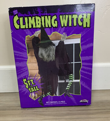 FT Climbing Witch Wall Decoration New In Box Australia