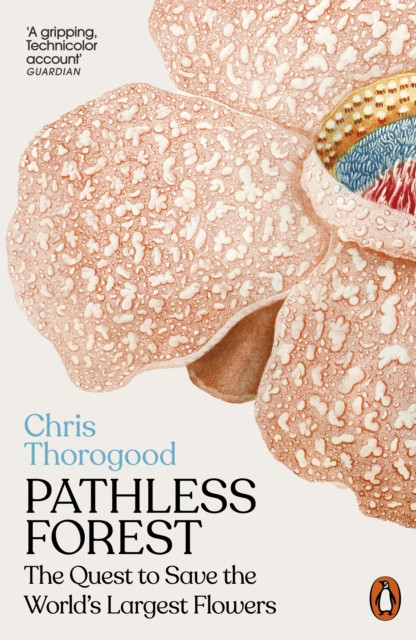 Pathless Forest by Dr Chris Thorogood (Paperback Book)