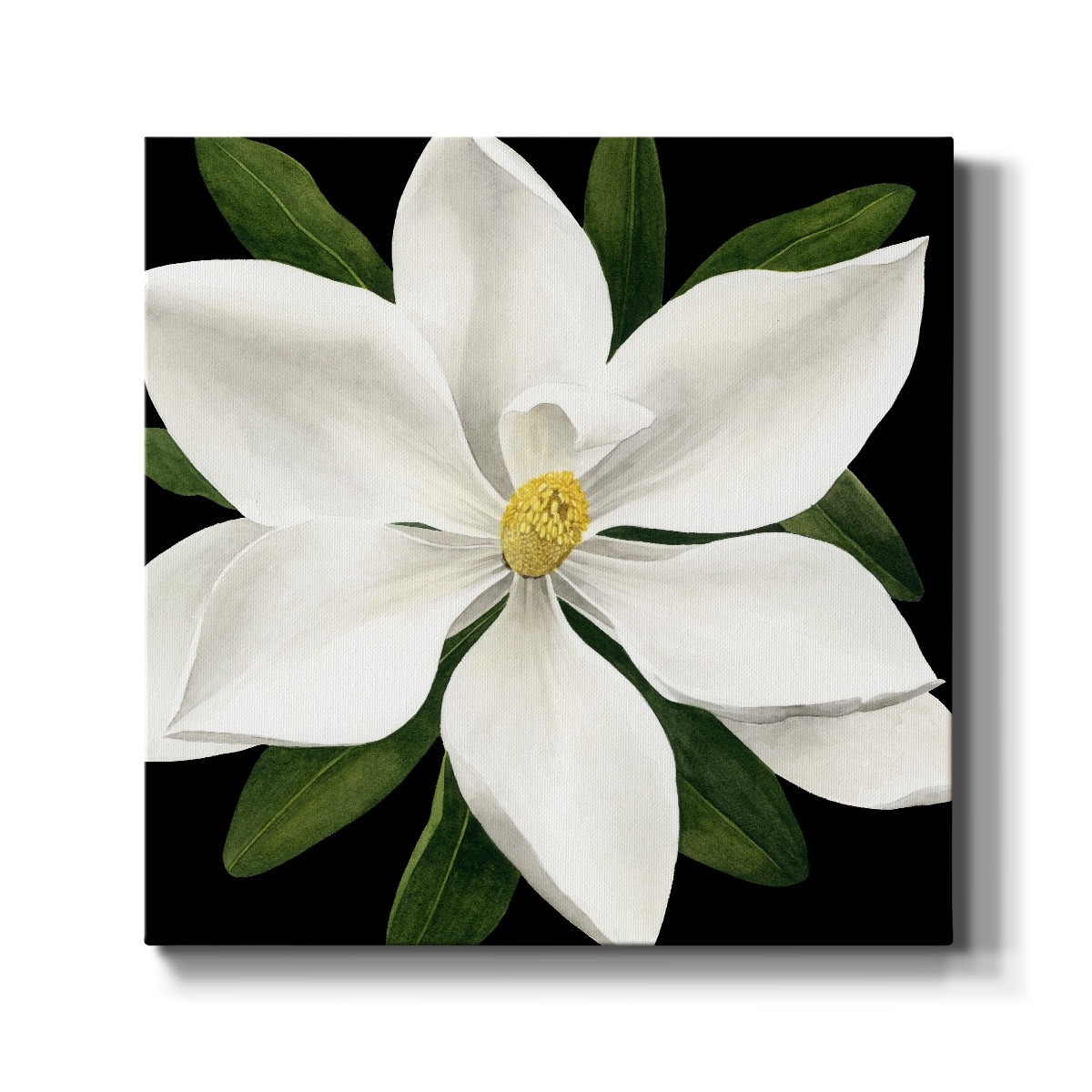 Midnight Magnolia Premium Gallery Wrapped Canvas Ready to Hang