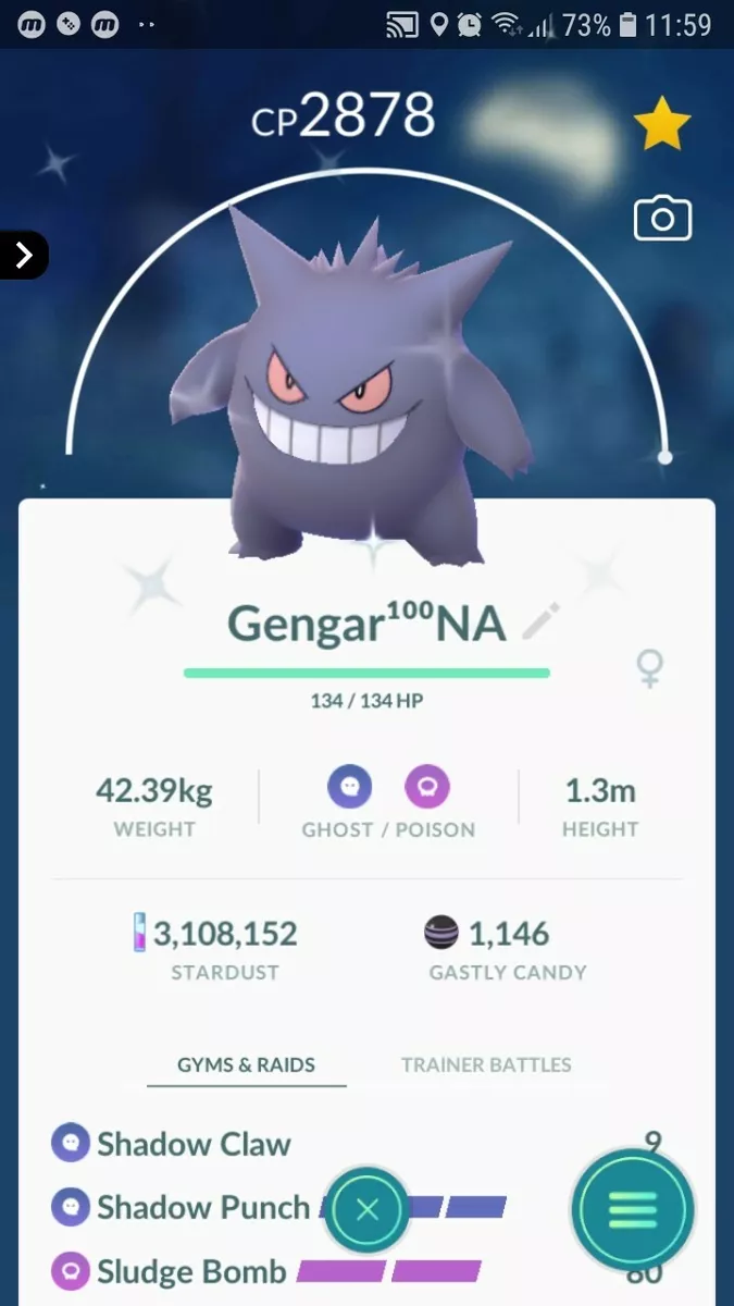 Shiny Gengar ( Maxed Out To Level 40 ) ( Two Charged Moves