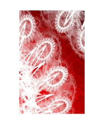 LETTERS TO MYSELF JOURNAL - White Lace on Red Metal: a 42-page journal with exqu