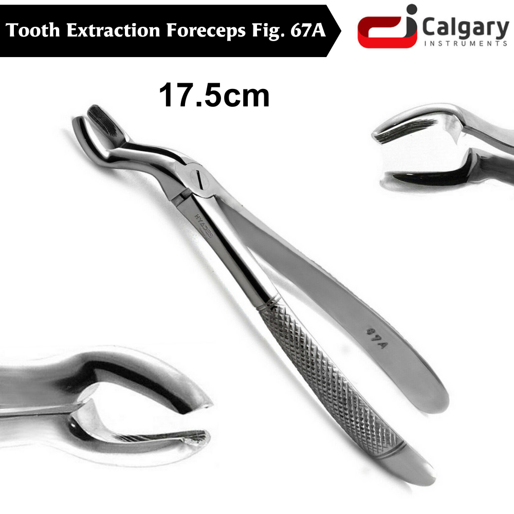 Tooth Forcedps Ash Dental Forceps AA Pro Upper Wisdom Tooth Forceps (Fig-67A ...