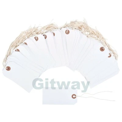 AVIDITI 100 White Tags 4 3/4" x 2 3/8" Size 5 Inventory Shipping Hang Tag with String