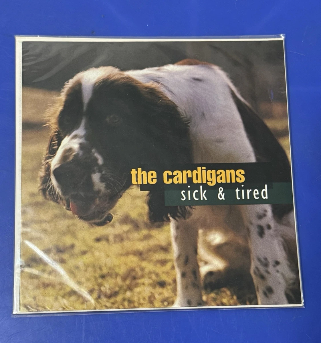 The Cardigans 新品未使用LPレコード Emmerdale OS5qcGVn.jpeg