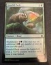 Gnarlid Pack *FOIL* Modern Masters 2 2015 Edition Magic the Gathering MTG