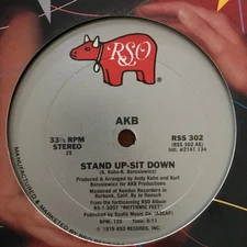 AKB - Stand Up-Sit Down (12") (Very Good Plus (VG+)) - 3865865212]