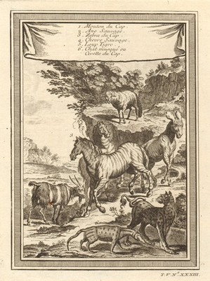 Südafrikanische Tiere. Umhang Schaf Zebra Esel Ziege Leopard Moschus Katze Zibet 1748