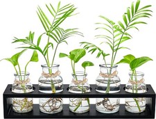 Hydroponic Glass Vase Propagation Station Wood Propagation Plant Desktop Decor