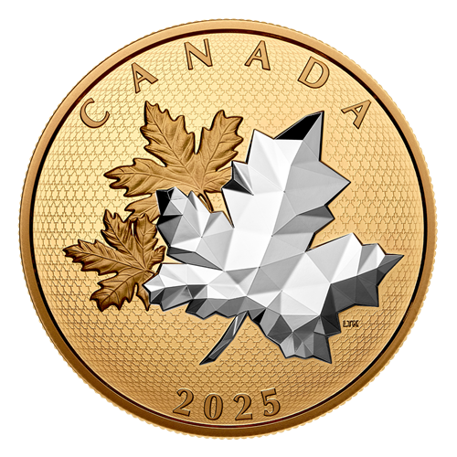 MAPLE LEAVES IN MOTION 2025 CANADA 5oz .9999 Silver Proof $50 Coin - Picture 2 of 10