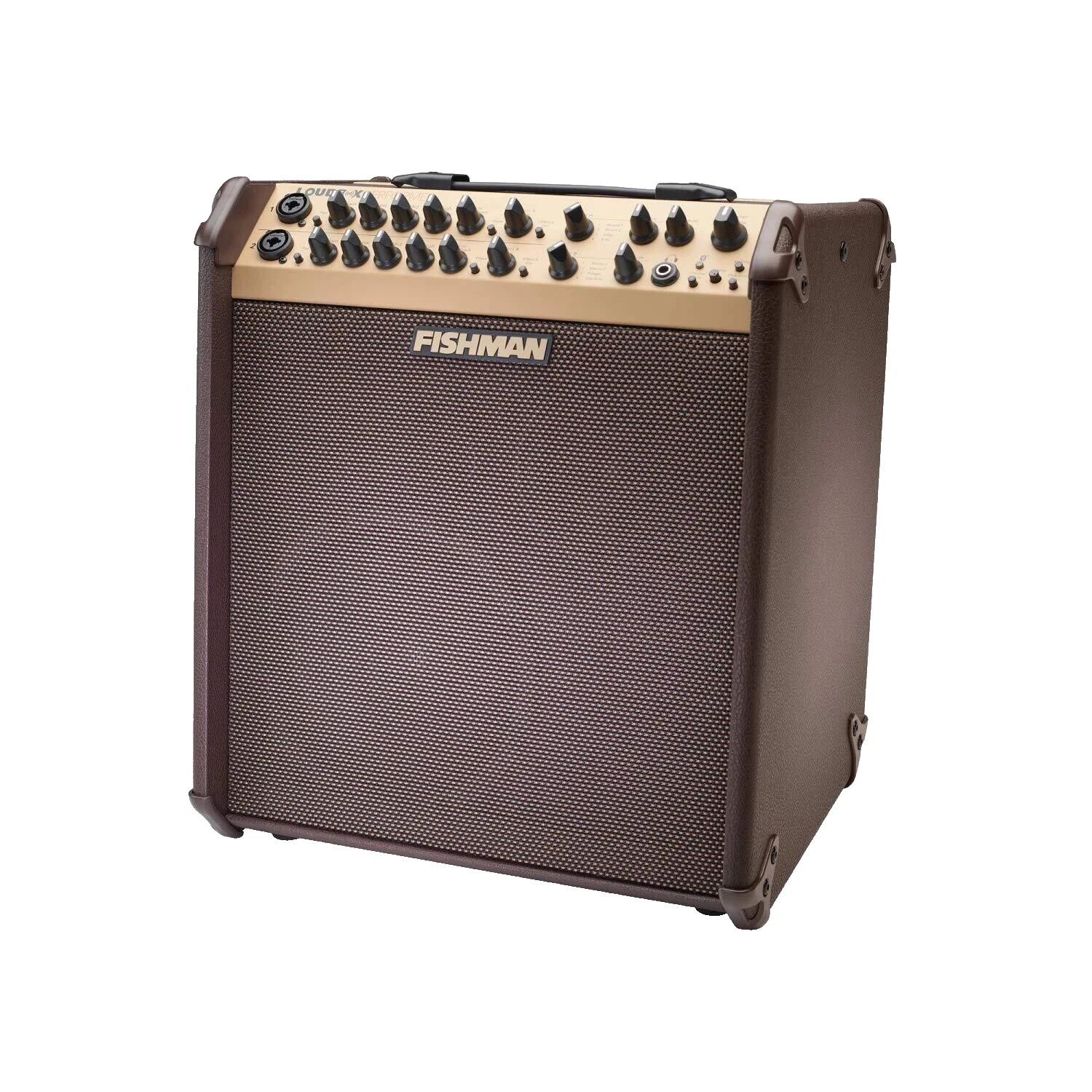 Fishman Acoustic Guitar Amplifiers