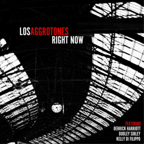 Los Aggrotones Right Now (Vinyl LP) 12" Album