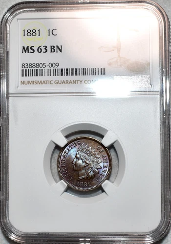 NGC MS-63 BN 1881 Indian Head Cent, Beautifully Toned, PQ specimen!