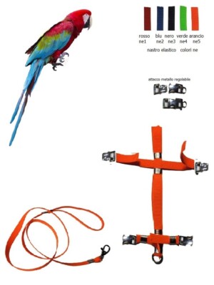Elastic harness metal detachable buckles adjustable parrots ara c.