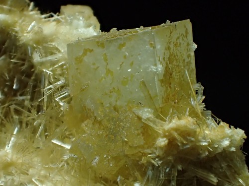 VERY RARE CUBIC PREHNITE w Pectolite Fine Mineral Specimen Jeffrey Mine, Quebec - Picture 6 of 6