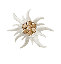 Traditional Edelweiss Edelweiss N.4 patch iron on patch applique 9411