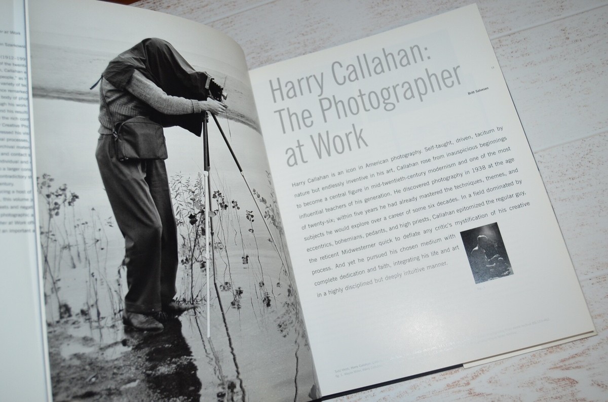 Art - Harry Callahan The Photographer at Work by Britt