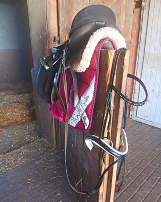 Thorowgood Dressursattel aus Leder Schwarz   Englisch Reitsattel Sattel