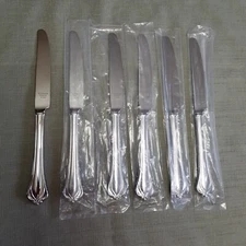 6  Pc. Lenox ALCOTT Stainless Steel Flatware 18/10 Dinner Knives Set of 6 NEW!