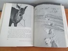Foto 2 di 3