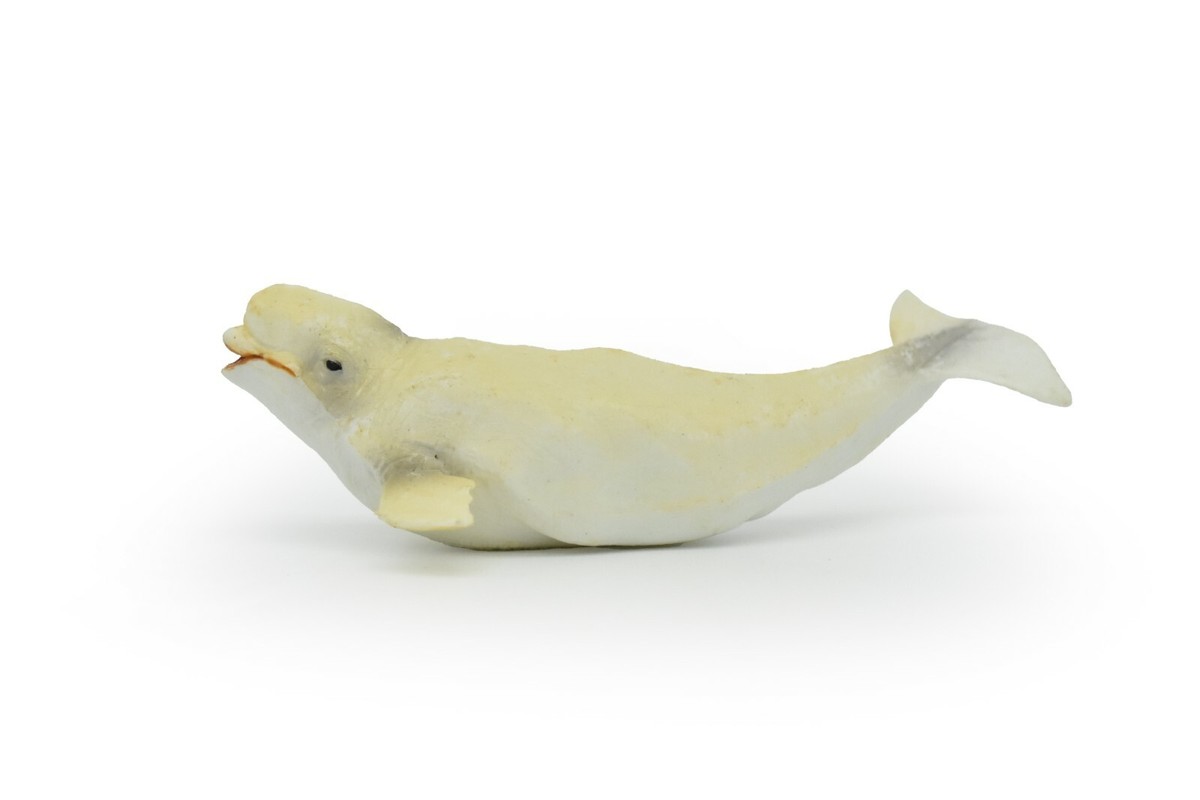 beluga  Beluga Whale Toy, Model, Figure, Rubber Replica, Hand Painted 5