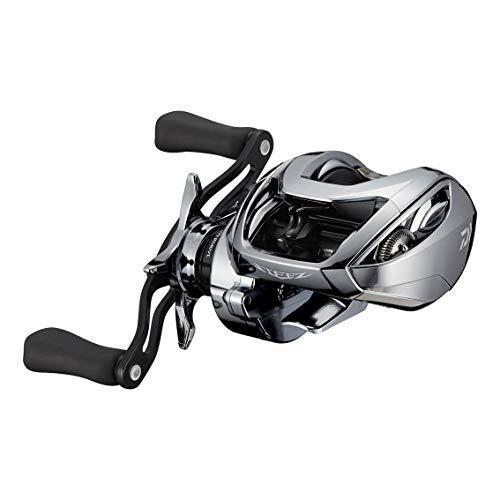 Daiwa STEEZ Limited SV TW 1000 Baitcasting Reel | eBay