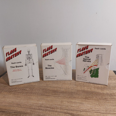 Vintage Flash Anatomy Cards | Bryan Edwards 3-Set Bundle | Muscles Bones Nerves