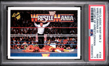 Ultimate Warrior Cards and Memorabilia Guide 21