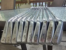 Golfsmith Forged Professional Grind 2i-SW, Steel Rifle 6.5 RH stiff iron set