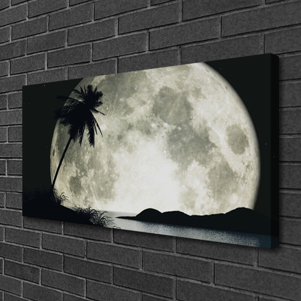 Tableau moderne nuit tropicale lune et palmiers - Toile décorative salon 100x50 cm