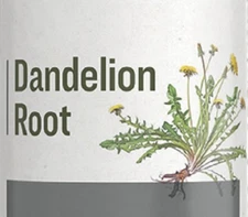 DANDELION ROOT Single Herb Liquid Extract Tincture for Healthy Digestion USA