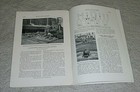 Picture 7 of 8