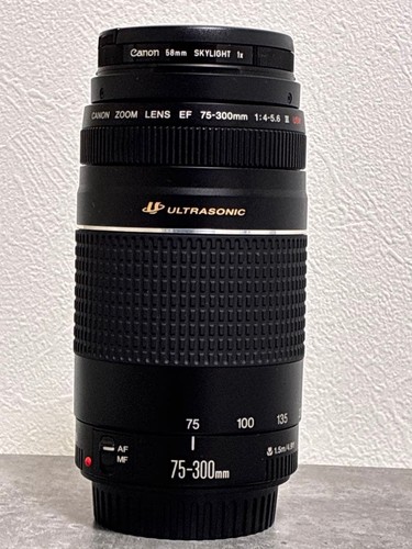 Canon EF 75-300mm F4-5.6 III USM 592075