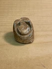 Nice Dug Carved Civil War Lead Bullet Nipple Protector Recovered At Shiloh Tenn