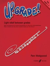 Up-Grade for Flute Grades 1-2 by Pam Wedgwood 0571518184  50 Discount 