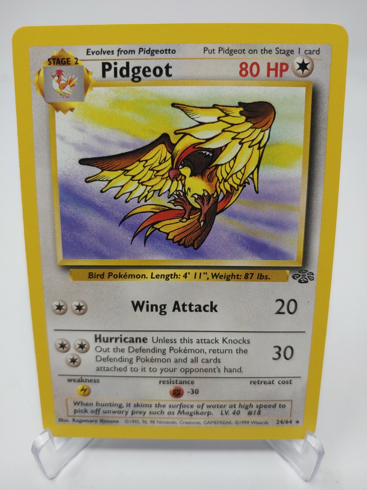 Pokemon Jungle Pidgeot 24/64 NM