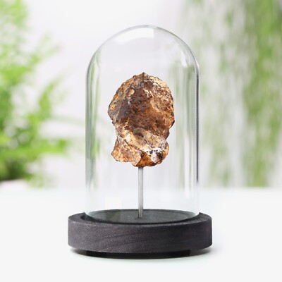 Chondrite Meteorite Authentic Real Space Meteor Fragment Museum Quality Bell Jar