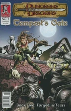Dungeons and Dragons: Tempest's Gate #2 VF; Kenzer and Company | we combine ship