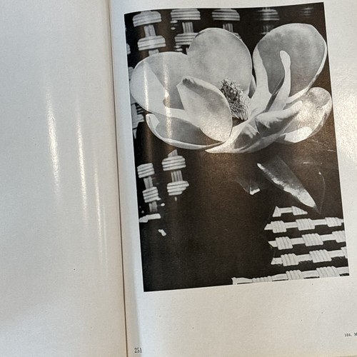 Il Messaggio Dalla Camera Oscuza , Carlo Mollina 1st Edition1949, Italian - Picture 22 of 22