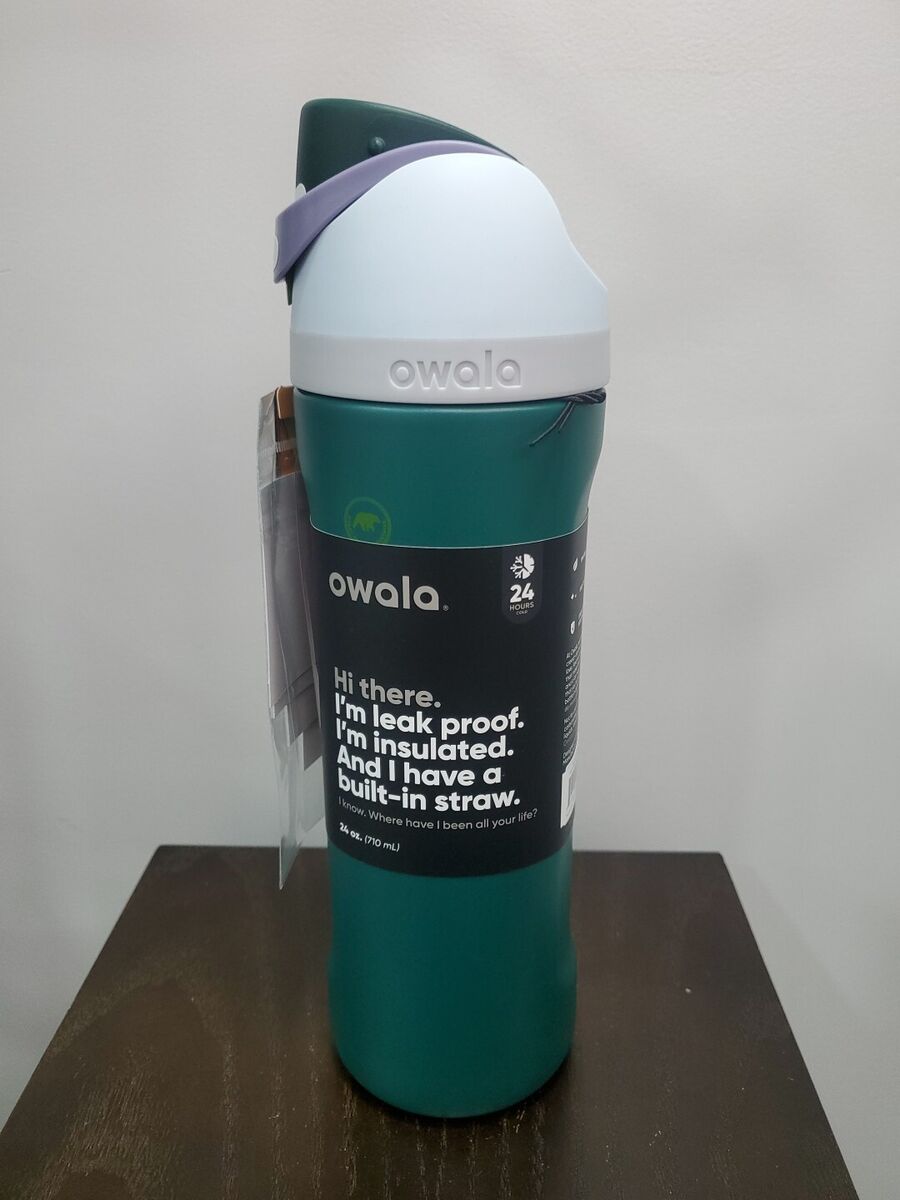 Owala FreeSip Stainless Steel Water Bottle / 24oz / Color: Great Smoky Mountains Owala FreeSip Stainless Steel Water Bottle / 24oz / Color: Great Smoky Mountains