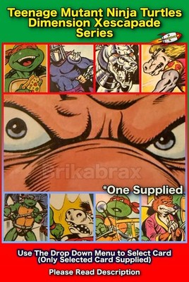 PG Tips Karten Teenage Mutant Ninja Turtles Dimension Xescapade (Karte auswählen)