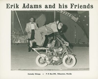 1950 Erik Adams & His Friends Comedy Chimps Circus Ringling Brothers Bike Monkey