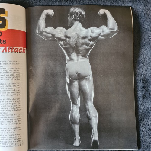 Ironman Bodybuilding Magazine 1993 - Picture 4 of 7
