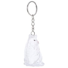 Clear Storage Box Pet Hair Memorial Keepsake Souvenir Keychain Cat