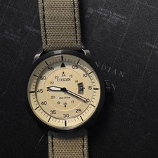Citizen Men's Eco-Drive Aviator Watch AW1365-19P